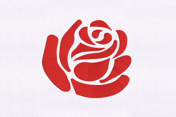 Silhouetted Rose Petal: A Designer's Review
